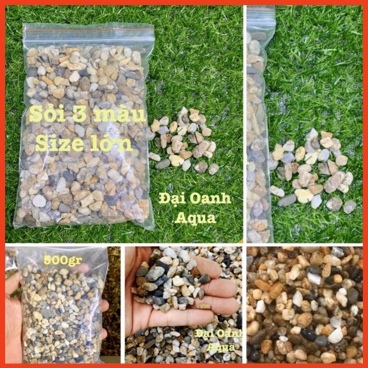 500gr Sỏi 3 màu size to trang trí bể cá thuỷ sinh-Trải nền bể cá