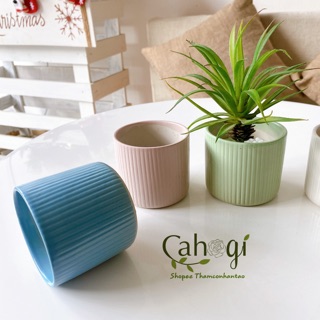 Chậu Men Sứ Mini Kẻ Tăm 076