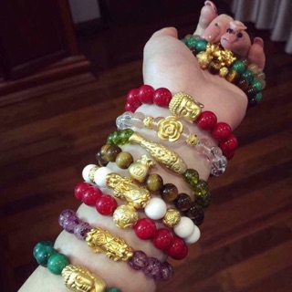 Bùi hiền