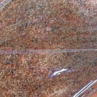 10 cái Bánh tráng tôm mè tự nướng