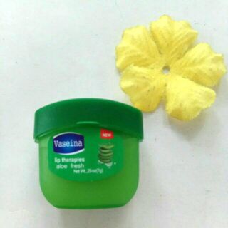 Hủ dưỡng ẩm căng môi nha đam( Vaseina 7g ) .