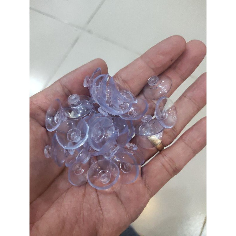Hít treo vỉ Rêu