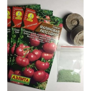 HẠT GIỐNG CÀ CHUA MÚI HỒNG LÙN