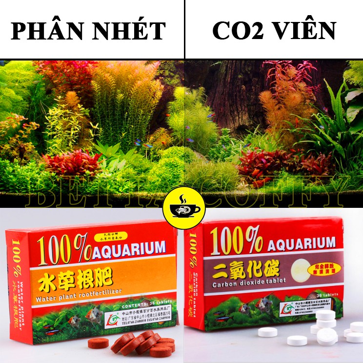 Viên Nén CO2 &amp; Phân Nhét Cho Bể Thuỷ Sinh - XEM KỸ PHÂN LOẠI