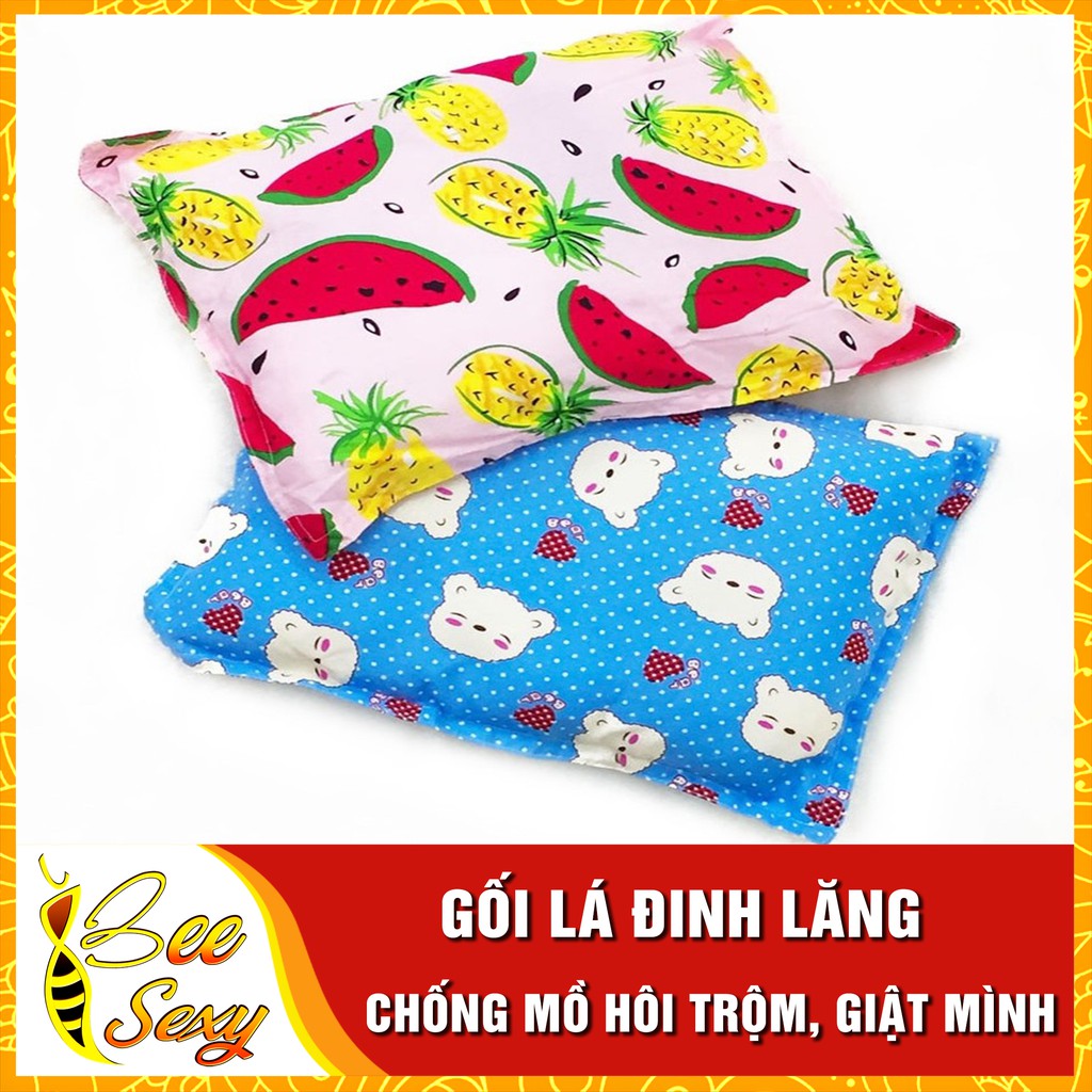 Gối Lá Đinh Lăng Cho Bé Chống Mồ Hôi Trộm Luôn Ngon Giấc