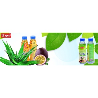 NƯỚC YẾN NHA ĐAM TINGCO (Thùng 24 chai 500ml)
