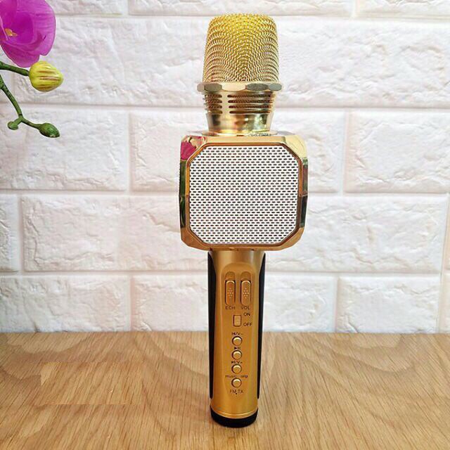 Micro karaoke kiêm loa bluetooth Sd-10 chính hãng  shop khobansilc
