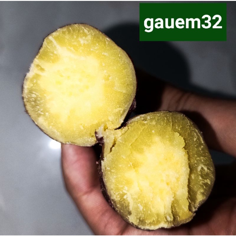 Khoai lang Nhật ruột vàng dẻo thơm 1Kg