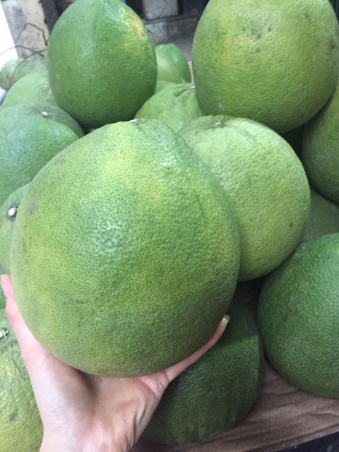 ] Bưởi da xanh bến tre ( 1-1.2kg ) | BigBuy360 - bigbuy360.vn