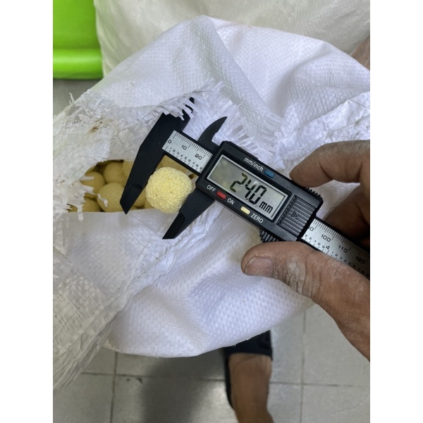 Sứ Bi vàng (0,5kg)