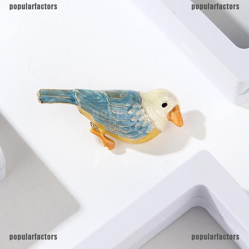 Chú Chim Độc Đáo