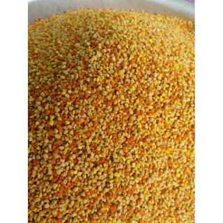 Sỉ lẻ phấn hoa rừng 100g - 200g - 300g