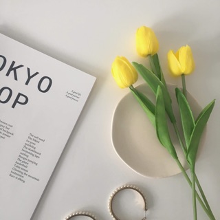 Hoa tulip - PHỤ KIỆN CHỤP Ảnh FLATLAY