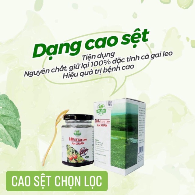 Cà gai leo an xuân - cao sệt