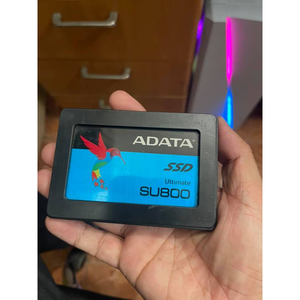 SSD ADATA SU800 256GB