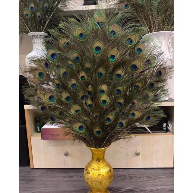 Lông công ~90cm HÀNG LOẠI 1 mắt lớn | BigBuy360 - bigbuy360.vn