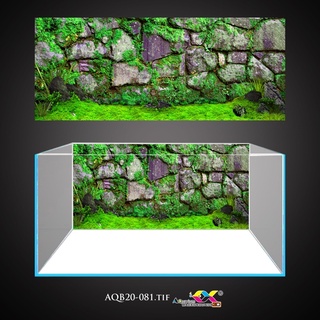 Tranh 3D dán bể cá mẫu tường rêu đầy ấn tượng, có keo sẵn trên bề mặt, đa dạng kích thước lựa chọn (mã AQB20-081)