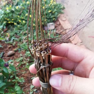 Giò chân đồng bẫy gà