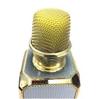 Mic Hát Kèm Loa SD-10 XỊN