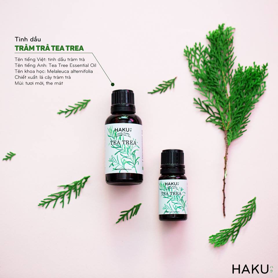 Tinh dầu tràm trà Tea Tree