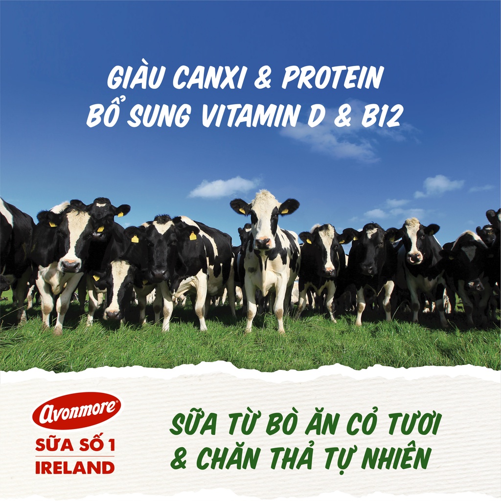Sữa Tươi Tiệt Trùng Avonmore nguyên kem 1l - 2 hộp