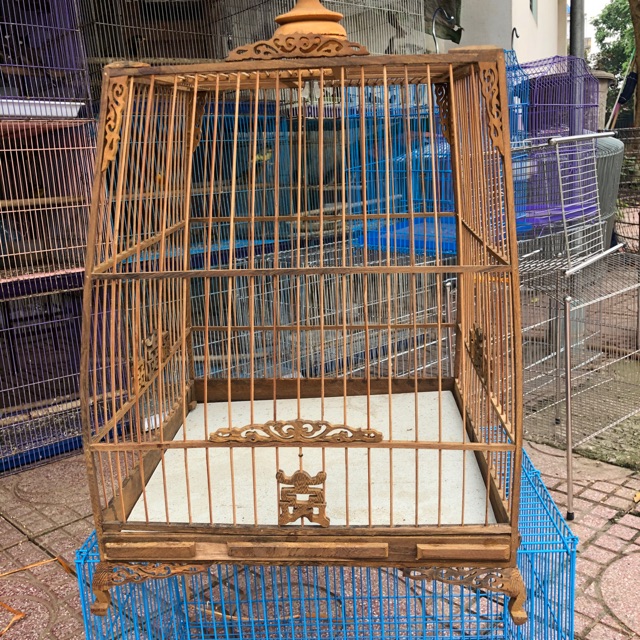 Lồng chào mào Huế kiểu thái
