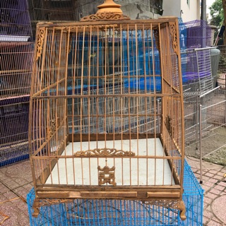 Lồng chào mào Huế kiểu thái