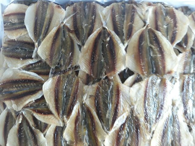 Cá Chỉ Vàng biển Long Hải | BigBuy360 - bigbuy360.vn