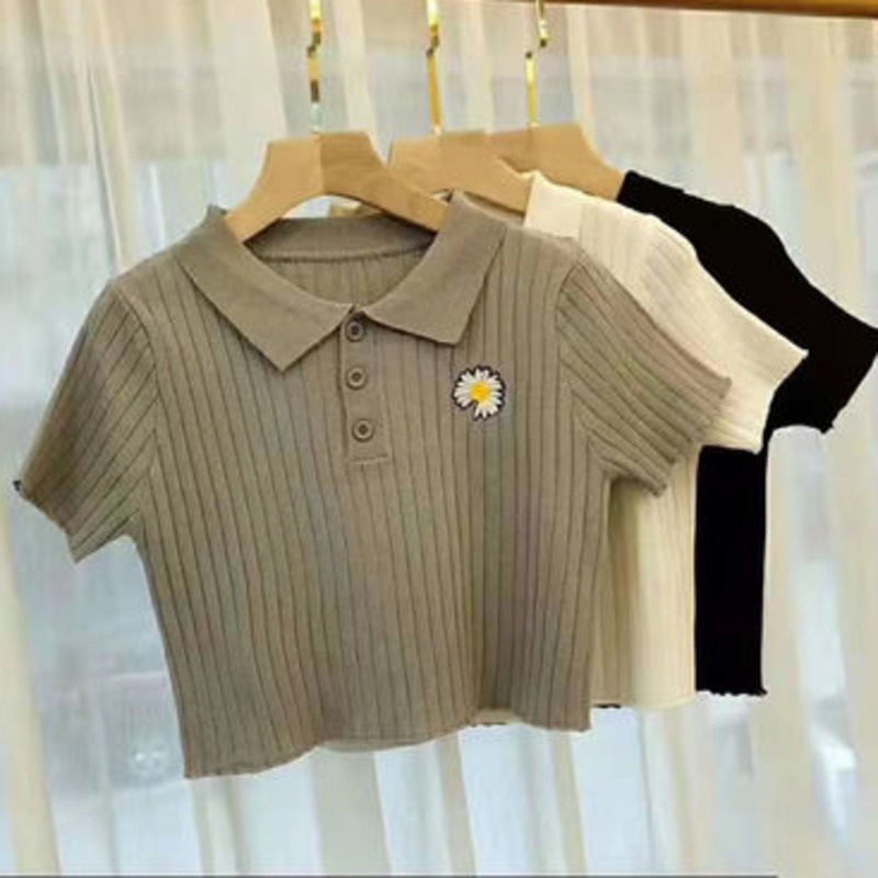 Áo Thun Polo Ngắn Tay Thời Trang Đơn Giản Dễ Phối Đồ Cho Nữ