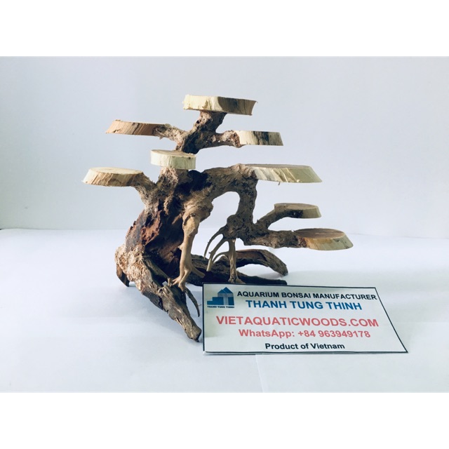 Cây bonsai thủy sinh (bonsai Driftwood)