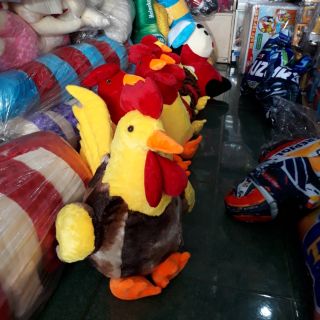 Gà bông(50cm)