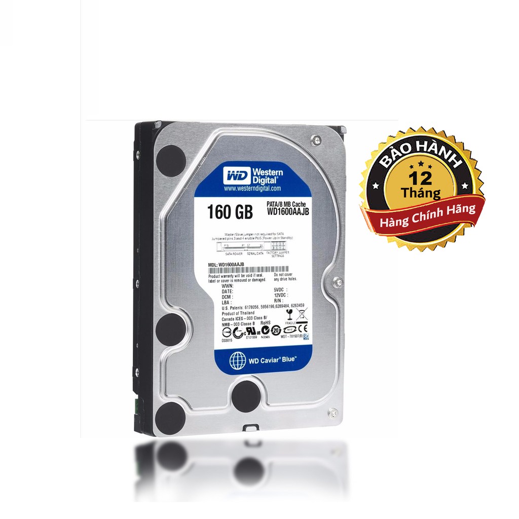 Ổ CỨNG MÁY TÍNH HDD 160GB WD SATA CHÍNH HÃNG - BH 12 THÁNG - 1 ĐỔI 1 | BigBuy360 - bigbuy360.vn
