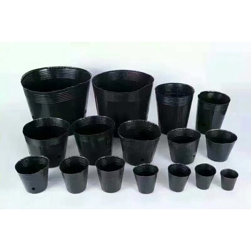 1kgtúi bầu ươm Cây màu đen các size ( chọn size)