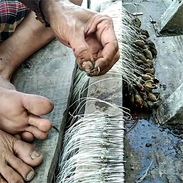 100 Lưỡi câu cá ngát, lưỡi câu đúc chuyên dụng câu cá ngát, cá lăng, cá tra