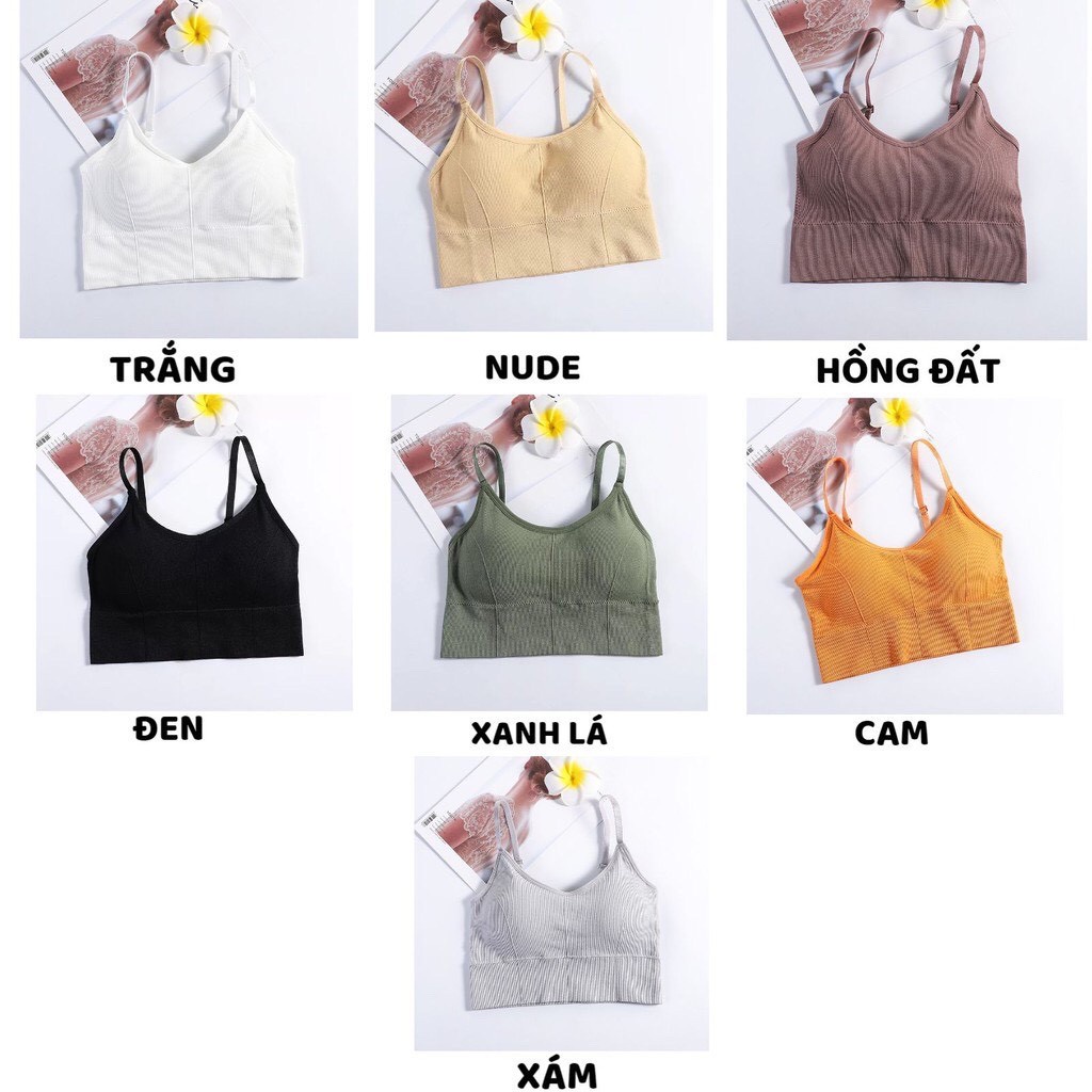 Áo Ngực Nữ - Áo Bra Nữ gân tăm không gọng nâng ngực gợi cảm cao cấp DAN STORE MÃ 646