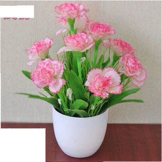 Chậu hoa để bàn xinh xắn