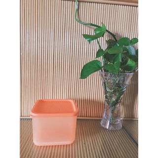 Hộp bảo quản thực phẩm Tupperware Medium Square Round