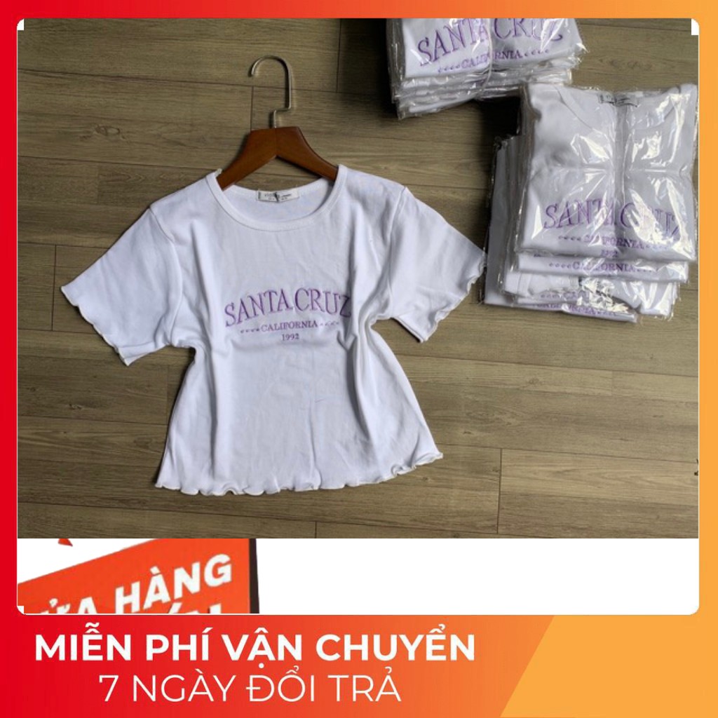 Áo Croptop Nữ Santa Cruz Viền Bèo 🦋FREESHIP🦋 Áo Ngắn Nữ Chữ Thêu 2 Màu 32