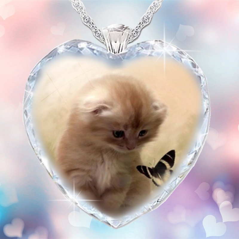 Dây Chuyền Đính Đá Thời Trang Dành Cho Nữ