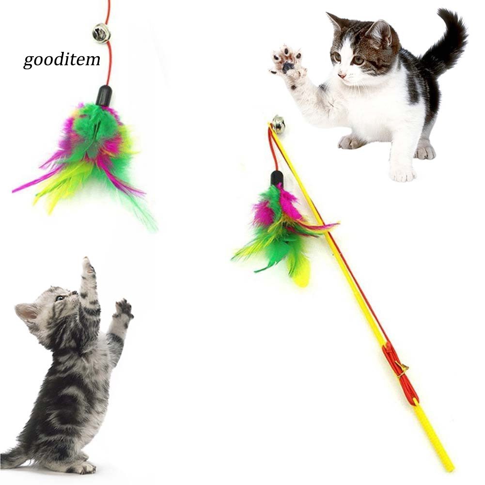 Đồ Chơi Gậy Trêu Ghẹo Mèo Gắn Lông Vũ Và Chuông Giúp Thu Hút Sự Chú Ý Và Tăng Tương Tác / Tình Cảm Với Mèo Cưng Của Bạn