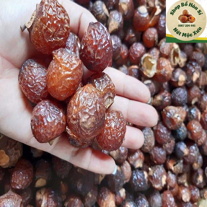 QUẢ BỒ HÒN LOẠI 1  KÈM HDSD