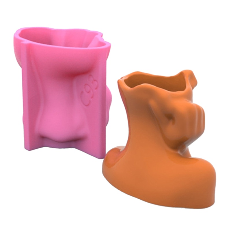 Sa Khuôn Làm Chậu Hoa / Cây Mọng Nước Trang Trí DIY