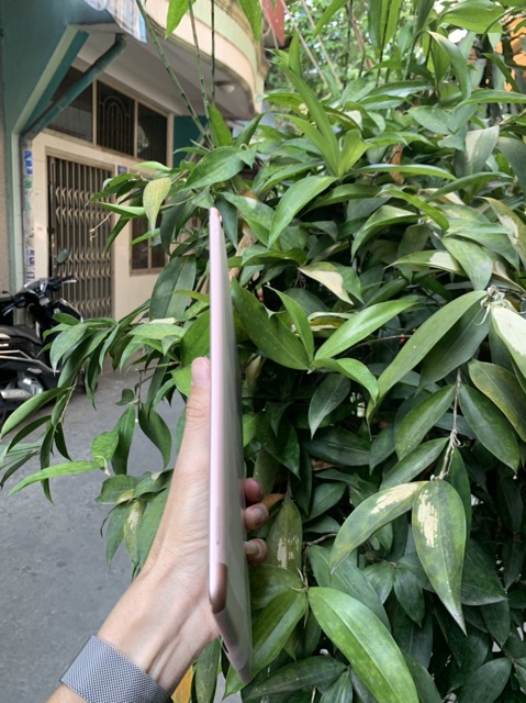 Ipad Pro 10.5 4G 64GB rose gold Trả bảo hành new seal | BigBuy360 - bigbuy360.vn