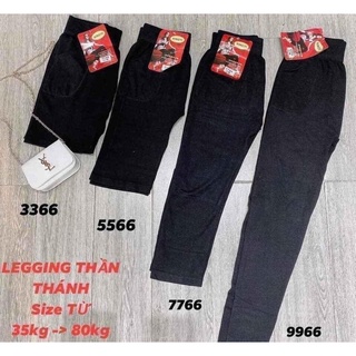 Quần thun legging dài co giãn