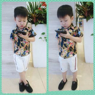 LÔ ÁO SƠ MI LỤA