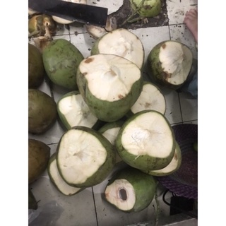 (Hoả tốc) DỪA XIÊM - DỪA TA Bến Tre.
