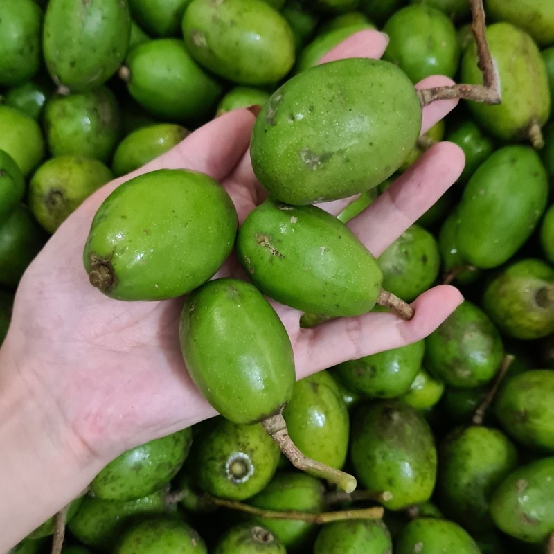 Cóc Bao Tử tươi chua giòn - giao Hỏa Tốc