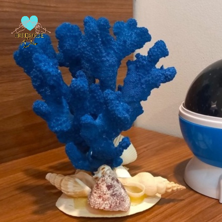 San Hô tự nhiên cho bể cá, bể thủy sinh trang trí tiểu cảnh không gian biển