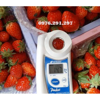 Máy đo độ Brix điện tử - Máy đo độ ngọt điện tử Pal 1 Atago Nhật Bản