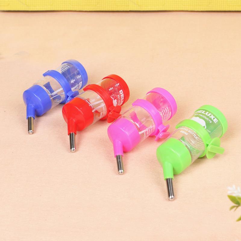 bình nước hình thú đáng yêu